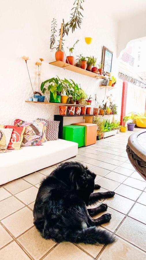 Zili Pernambuco - Hostel Pousada Recife Bagian luar foto