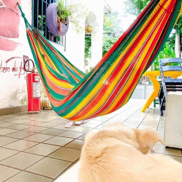 Zili Pernambuco - Hostel Pousada Recife Bagian luar foto
